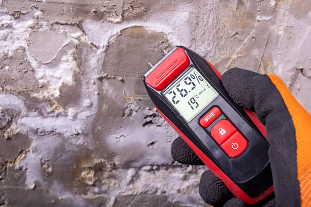 Best Local Mold Removal Service  in Lackland Af, TX