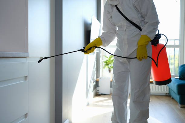 Best Toxic Mold Removal  in Lackland Af, TX