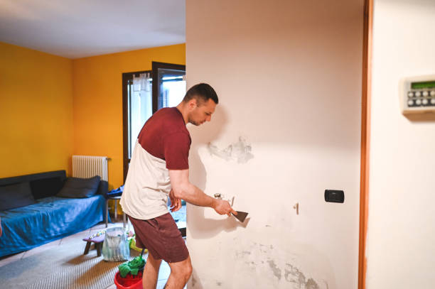 Best Mold Cleaning Services  in Lackland Af, TX