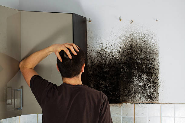 Best Commercial Mold Removal  in Lackland Af, TX